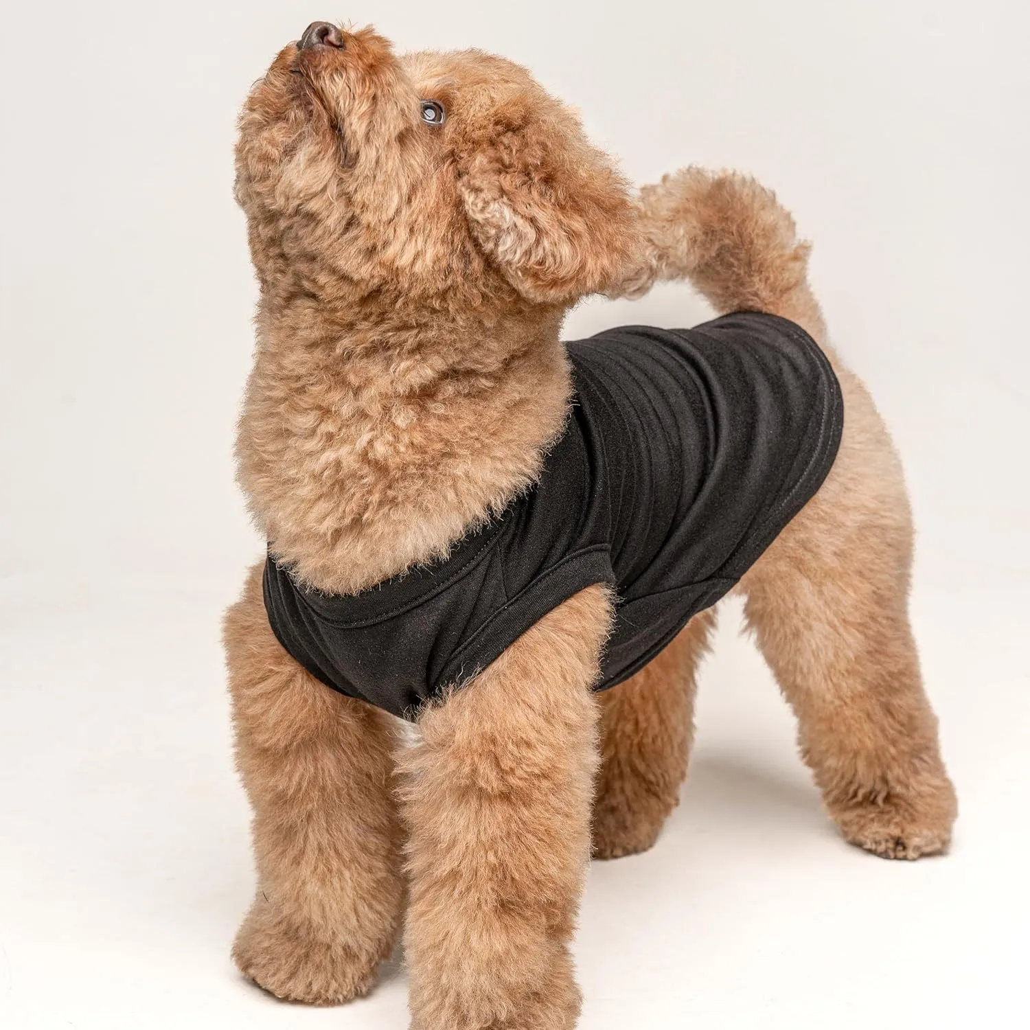 Happy Birthday Mom Dog Tee Shirt | Sleeveless | Pawty | Party Theme | Celebration Supplies | Photoshoot (Black, 2X-Large 168)